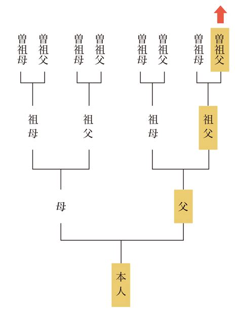 家樹|【公式】家系図作るなら家樹